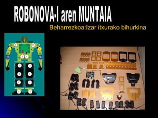 [object Object],ROBONOVA-I aren MUNTAIA 