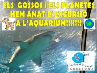 ELS  GOSSOS I ELS PLANETES  HEM ANAT D’EXCURSIÓ A L’AQUARIUM!!!!!!! 