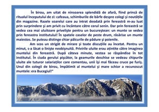 În birou, am uitat de ninsoarea splendidă de afară, fiind prinsă de
ritualul începutului de zi: cafeaua, schimburile de bâ...
