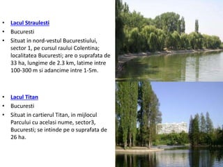 • Lacul Straulesti
• Bucuresti
• Situat in nord-vestul Bucurestiului,
sector 1, pe cursul raului Colentina;
localitatea Bucuresti; are o suprafata de
33 ha, lungime de 2.3 km, latime intre
100-300 m si adancime intre 1-5m.
• Lacul Titan
• Bucuresti
• Situat in cartierul Titan, in mijlocul
Parcului cu acelasi nume, sector3,
Bucuresti; se intinde pe o suprafata de
26 ha.
 