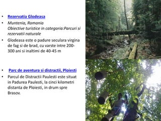 • Rezervatia Glodeasa
• Muntenia, Romania
Obiective turistice in categoria:Parcuri si
rezervatii naturale
• Glodeasa este o padure seculara virgina
de fag si de brad, cu varste intre 200-
300 ani si inaltimi de 40-45 m
• Parc de aventura si distractii, Ploiesti
• Parcul de Distractii Paulesti este situat
in Padurea Paulesti, la cinci kilometri
distanta de Ploiesti, in drum spre
Brasov.
 