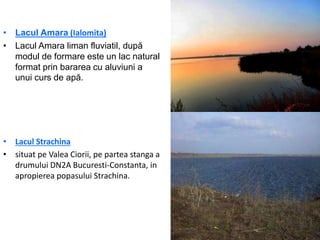 • Lacul Amara (Ialomita)
• Lacul Amara liman fluviatil, după
modul de formare este un lac natural
format prin bararea cu aluviuni a
unui curs de apă.
• Lacul Strachina
• situat pe Valea Ciorii, pe partea stanga a
drumului DN2A Bucuresti-Constanta, in
apropierea popasului Strachina.
 