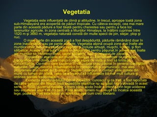 Vegetatia Vegetaţia este influenţată de climă şi altitudine. In trecut, aproape toată zona sub-Himalayană era acoperită de păduri tropicale. Cu câteva excepţii, cea mai mare parte din această pădure a fost tăiată pentru cherestea sau pentru a face loc terenurilor agricole. In zona centrală a Munţilor Himalaya, la înălţimi cuprinse între 1520 m şi 3660 m, vegetaţia naturală constă din multe specii de pin, stejar, plop şi nuc.    O mare parte din această zonă a fost despădurită, pădurile rămânând doar în zone inaccesibile, sau pe pante abrupte. Vegetaţia alpină ocupă zone mai înalte ale munţilor chiar sub zona zăpezilor veşnice şi include arbuşti, muşchi, licheni, şi flori sălbatice. Aceste zone sunt folosite în timpul verii pentru păşunat.In zonele mai înalte ale munţilor se întâlnesc cerbi, capre sălbatice, lupi, şi leoparzi de zăpadă.    Populaţia şi aşezările din munţii Himalaya au fost influenţate de variaţiile topografice şi de climă, care impun condiţii aspre de viaţă şi tind să limiteze comunicaţiile. Oa-menii care locuiesc în văi izolate şi-au păstrat în general identităţile culturale. Totuşi, datorită îmbunătăţirilor în transporturi şi comunicaţii, mai ales programele prin satelit din Europa şi Statele Unite pun în contact văile izolate din munţi cu lumea din afară, ceea ce a început să influenţeze tot mai mult cultura şi ordinea socială tradiţională.    Existenţa Abomina-bilului Om al Zăpezilor, cunoscut şi ca Yeti, a fost raportată de către şerpaşii din Nepal, însă expediţiile ştiinţifice nu au găsit nici o dovadă în acest sens. In 1950, guvernul nepalez a mers până acolo încât a interzis prin lege uciderea sau scoaterea unui Yeti din ţară. Până acum, nimeni nu a reuşit să încalce această lege; poate că Yeti este totuşi un spirit rău, aşa cum cred tibetanii.    