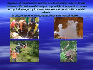 ?i pentru c? eram ?n inima mun?ilor am descoperit ?i un izvor de ap?
mineral? sulfuroas? am aflat despre propriet??ile ei terapeutice, dar ne-
 am oprit s? culegem ?i fructele care cresc sus pe piscurile muntelui:
                                afinele.
     ?n p?dure peste tot am observat covorul de mu?chi moale 
 