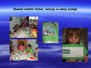 Blazonul mun?ilor Rodnei, marcaje cu mesaj ecologic
 