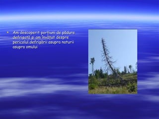 ?   Am descoperit por?iuni de p?dure
    defri?at? ?i am ?nv??at despre
    pericolul defri??rii asupra naturii
    asupra omului
 