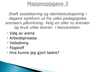 Valg av arena Arbeidsprosess Veiledning Fagstoff Hva kunne jeg gjort bedre?  