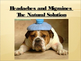 Headaches and Migraines
The Natural Solution
 