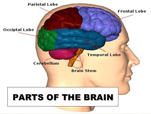 headaches and migraines