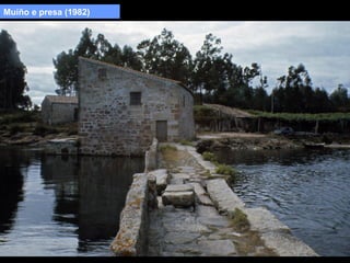 Muíño e presa (1982)

 