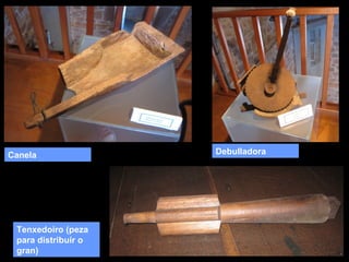 Canela

Tenxedoiro (peza
para distribuír o
gran)

Debulladora

 