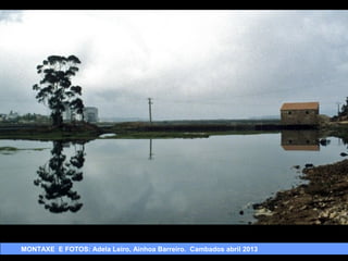 MONTAXE E FOTOS: Adela Leiro, Ainhoa Barreiro. Cambados abril 2013

 