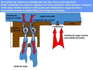 Os muíños de marea son semellantes aos dos ríos na súa estrutura.
Están instalados na costa en lugares con forte oscilación entre mareas, e espazos
onde sexa posible construír unha presa para almacenar a auga da chea e
aproveitala durante a marea baixa para mover os rodicios.
entrada da
auga ao muíño

auga encorada
comportas das canles
presa

cubos e
rodicios

comportas

entrada da auga á presa
coa subida da marea

saída da auga

 