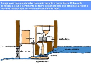 A auga pasa pola planta baixa do muíño durante a marea baixa. Unha canle
condúcea ao cubo (xeralmente de forma cilíndrica) para que colla máis presión e
mova os rodicios que accionan o mecanismo de moer.

moega
tempero

moa
pechadoiro

pé

auga encorada
eixo ou veo
rodicio
viga ou mesa

 