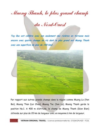 1 VIETNAM ORIGINAL TRAVEL – Licence professionnelle No : 01024/GPLHQT – TCDL
Muong Thanh, le plus grand champ
du Nord-Ouest
Tay Bac est célèbre avec non seulement des rizières en terrasse mais
encore avec quatre champs de riz dont le plus grand est Muong Thanh
avec une superficie de plus de 140 km2.
Par rapport aux autres grands champs dans la région comme Muong Lo (Yen
Bai), Muong Than (Lai Chau), Muong Tac (Son La), Muong Thanh garde la
position No.1. A 400 m d’altitude, le champ de Muong Thanh (Dien Bien)
s’étende sur plus de 20 km de longueur avec en moyenne 6 km de largueur.
 