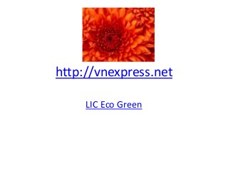 http://vnexpress.net 
LIC Eco Green 
 