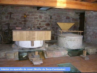 Interior co aparello de moer (Muíño da Seca-Cambados)

 