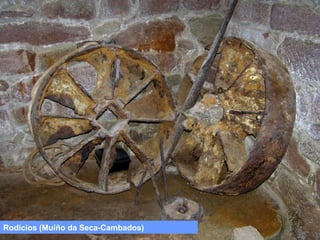 Rodicios (Muíño da Seca-Cambados)

 