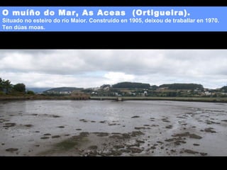 O muíño do Mar, As Aceas (Ortigueira).

Situado no esteiro do río Maior. Construído en 1905, deixou de traballar en 1970.
Ten dúas moas.

 