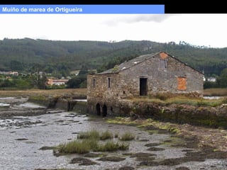 Muíño de marea de Ortigueira

 
