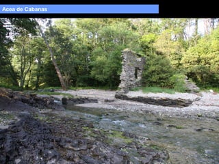 Acea de Cabanas

 