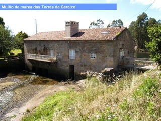 Muíño de marea das Torres de Cereixo

 