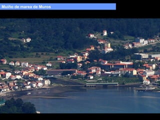 Muíño de marea de Muros

 