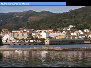 Muíño de marea de Muros

 