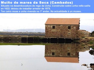 Muíño de marea da Seca (Cambados)

Situado na desembocadura do rego da Ucha. Construído sobre unha vella saíña
en 1622; deixou de traballar arredor de 1975.
Ten catro moas e unha vivenda no 1º andar. Na actualidade é un museo.

 