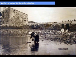 Muíño de marea da Seca (Cambados)

 