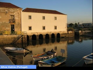 Alhos Vedros (Portugal)

 