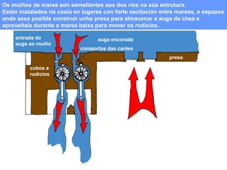 Os muíños de marea son semellantes aos dos ríos na súa estrutura.
Están instalados na costa en lugares con forte oscilación entre mareas, e espazos
onde sexa posible construír unha presa para almacenar a auga da chea e
aproveitala durante a marea baixa para mover os rodicios.
entrada da
auga ao muíño

auga encorada
comportas das canles
presa

cubos e
rodicios

comportas

entrada da auga á presa
coa subida da marea

saída da auga

 