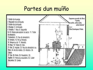 Partes dun muíño
 