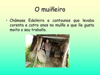 O muiñeiro
• Chámase Edelmiro e contounos que levaba
corenta e catro anos no muíño e que lle gusta
moito o seu traballo.
 