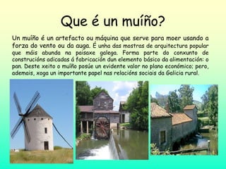 Que é un muíño?
Un muíño é un artefacto ou máquina que serve para moer usando a
forza do vento ou da auga. É unha das mostras de arquitectura popular
que máis abunda na paisaxe galega. Forma parte do conxunto de
construcións adicadas á fabricación dun elemento básico da alimentación: o
pan. Deste xeito o muíño posúe un evidente valor no plano económico; pero,
ademais, xoga un importante papel nas relacións sociais da Galicia rural.
 