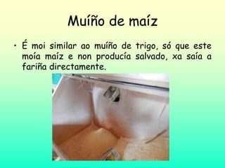 Muíño de maíz
• É moi similar ao muíño de trigo, só que este
moía maíz e non producía salvado, xa saía a
fariña directamente.
 