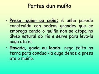 Partes dun muíño
• Presa, guiar ou ceña: é unha parede
construída con pedras grandes que se
emprega cando o muíño non se atopa no
álveo natural do río e serve para leva-la
auga ata el.
• Gavada, gavia ou loada: rego feito na
terra para conduci-la auga dende a presa
ata o muíño.
 