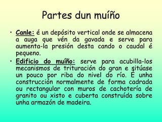 Partes dun muíño
• Canle: é un depósito vertical onde se almacena
a auga que vén da gavada e serve para
aumenta-la presión desta cando o caudal é
pequeno.
• Edificio do muíño: serve para acubilla-los
mecanismos de trituración do gran e sitúase
un pouco por riba do nivel do río. É unha
construcción normalmente de forma cadrada
ou rectangular con muros de cachotería de
granito ou xisto e cuberta construída sobre
unha armazón de madeira.
 