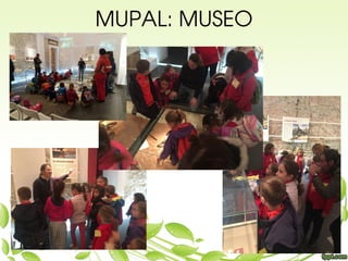 MUPAL: MUSEO