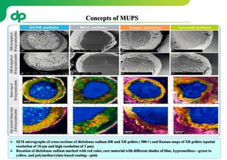 207
 SEM micrographs of cross-sections of diclofenac sodium DR and XR pellets ( 500×) and Raman maps of XR pellets (spatial
resolution of 10 µm and high resolution of 3 µm)
 Rocation of diclofenac sodium marked with red color, core material with different shades of blue, hypromellose—green to
yellow, and polymethacrylate-based coating—pink
Concepts of MUPS
 