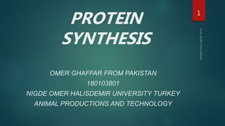 PROTEIN
SYNTHESIS
OMER GHAFFAR FROM PAKISTAN
180103801
NIGDE OMER HALISDEMIR UNIVERSITY TURKEY
ANIMAL PRODUCTIONS AND TECHNOLOGY
1
 