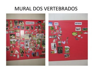 MURAL DOS VERTEBRADOS
 