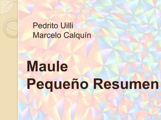 Pedrito Uilli
Marcelo Calquín



Maule
Pequeño Resumen
 