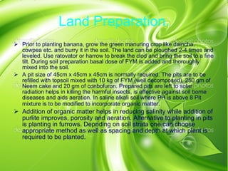 Land Preparation. Prior to planting banana, grow the green manuring crop like daincha, cowpea etc. and burry it in the soil. The land can be ploughed 2-4 times and leveled. Use ratovator or harrow to break the clod and bring the soil to a fine tilt. During soil preparation basal dose of FYM is added and thoroughly mixed into the soil. A pit size of 45cm x 45cm x 45cm is normally required. The pits are to be refilled with topsoil mixed with 10 kg of FYM (well decomposed), 250 gm of Neem cake and 20 gm of conbofuron. Prepared pits are left to solar radiation helps in killing the harmful insects, is effective against soil borne diseases and aids aeration. In saline alkali soil where PH is above 8 Pit mixture is to be modified to incorporate organic matter . Addition of organic matter helps in reducing salinity while addition of purlite improves, porosity and aeration. Alternative to planting in pits is planting in furrows. Depnding on soil strata one can choose appropriate method as well as spacing and depth at which plant is required to be planted. 