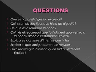 QUESTIONSQUESTIONS
 Què és l’aparell digestiu i excretor?
 Quins són els dos tipus que hi ha de digestió?
 De què està formada la boca?
 Quin és el recorregut que fa l’aliment quan entra a
la boca i arriba a l’estòmac? Explica'l.
 Explica els dos tipus d’intestins que hi ha
 Explica el que sàpigues sobre els ronyons
 Quin recorregut fa l’orina quan surt a l’exterior?
Explica'l.
 
