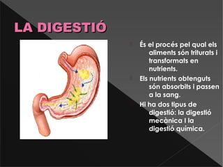  És el procés pel qual els
aliments són triturats i
transformats en
nutrients.
 Els nutrients obtenguts
són absorbits i passen
a la sang.
 Hi ha dos tipus de
digestió: la digestió
mecànica I la
digestió química.
LA DIGESTIÓLA DIGESTIÓ
 