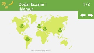 Doğal Eczane |
Ihlamur
1/2
Türkiye üzerindeki yaprağa tıklayınız .
 