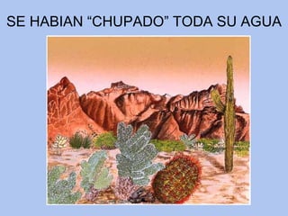 SE HABIAN “CHUPADO” TODA SU AGUA 
