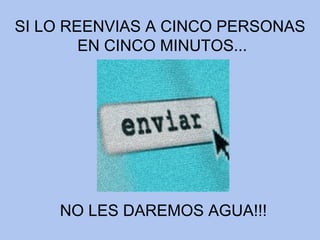 SI LO REENVIAS A CINCO PERSONAS EN CINCO MINUTOS... NO LES DAREMOS AGUA!!! 