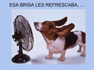 ESA BRISA LES REFRESCABA, ... 